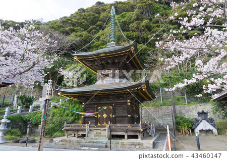 [Chiba Prefecture] Nakoji Temple 43460147