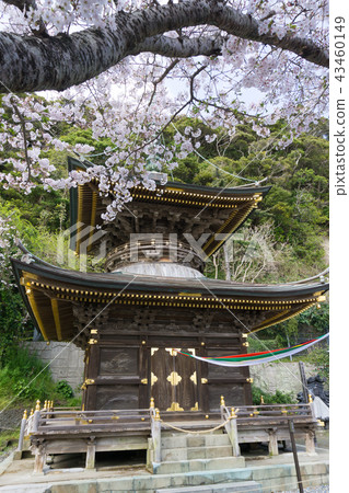 [Chiba Prefecture] Nakoji Temple 43460149