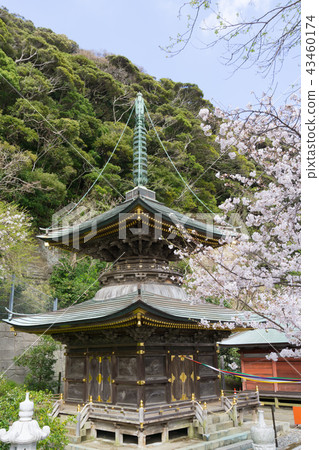 [Chiba Prefecture] Nakoji Temple 43460174