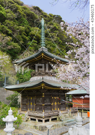 [Chiba Prefecture] Nakoji Temple 43460175