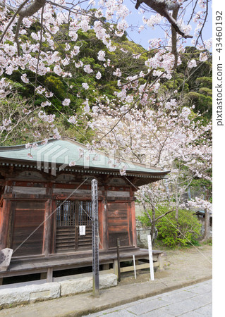 [Chiba Prefecture] Nakoji Temple 43460192