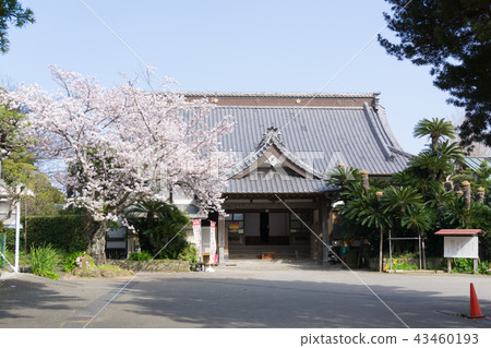 [Chiba Prefecture] Nakoji Temple 43460193