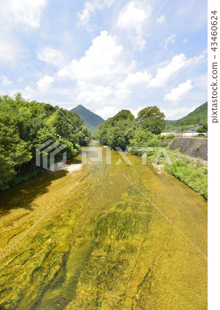 [Aichi Shinshiro City] Flow of Oku Mikawa and Urengawa 43460624