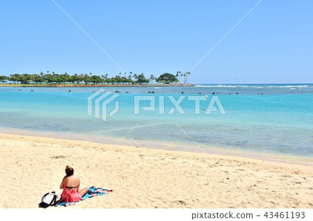 Holidays in Hawaii Holidays in Hawaii 43461193
