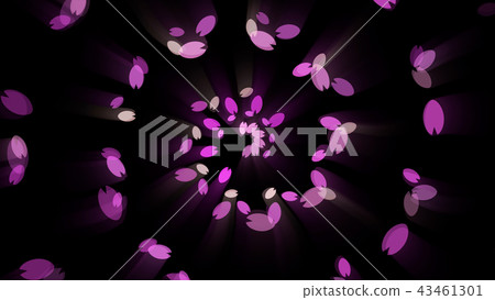 花瓣/螺旋 花瓣/螺旋 43461301
