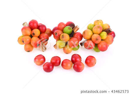 coffee beans isolated on white background coffee beans isolated on white background 43462573