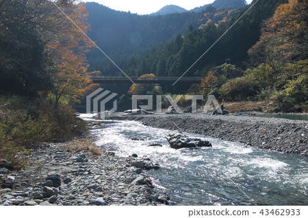 Autumn leaves of Ontake Valley 43462933