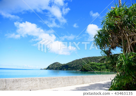 Amami Oshima Kuninao Beach Beach 43463135