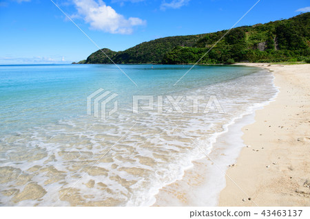 Amami Oshima Kuninao Beach Beach 43463137