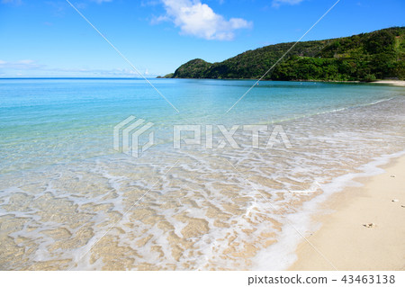 Amami Oshima Kuninao Beach Beach Amami Oshima Kuninao Beach Beach 43463138