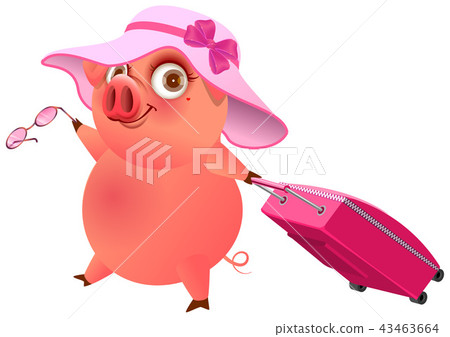 Fun pig in pink hat with suitcase is on vacation 43463664