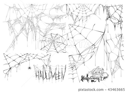Set of spider web and text of holiday halloween 43463665