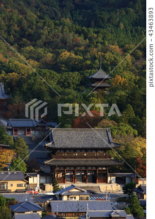 來自Ssogaoka 來自Ssogaoka 43463893
