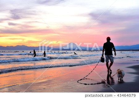 A man taking a dog walk on the shore of Kakinuma at sunset 43464079