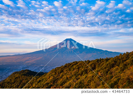 (山梨縣)從秋天山的富士山 (山梨縣)從秋天山的富士山 43464733