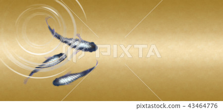 Luxury medaka 43464776