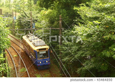 Toden Arakawa線在森林裡跑 43464850