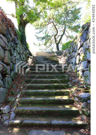 Saga Castle Saga Castle ruins Tenshudai Ishigaki 43464892