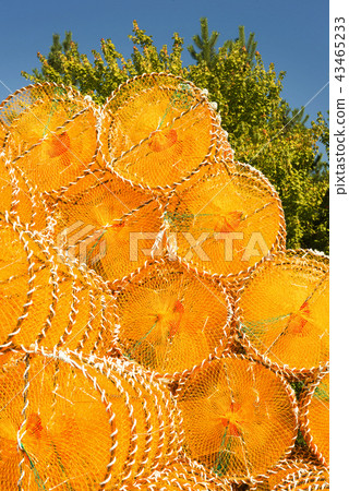 A stacked yellow crab catcher 43465233