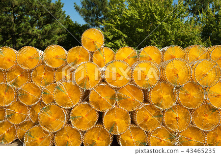 A stacked yellow crab catcher 43465235