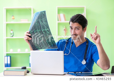 Young doctor working in the hospital 43465293