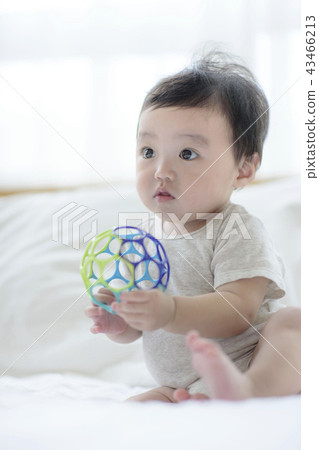 Three authorized families Three authorized families 43466213