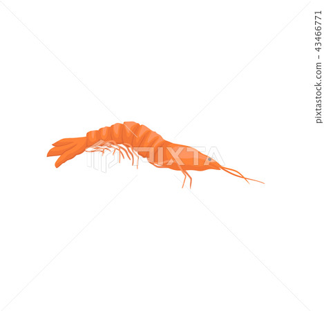 Flat vector icon of red shrimp. Marine creature. Seafood theme. Element for product packaging 43466771