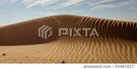 Sand dune with rippled pattern 43467827
