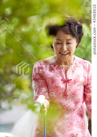 Senior Life 43468018