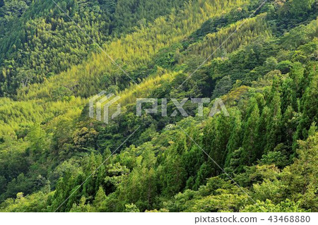 綠色背景,美麗的山景. 綠色背景,美麗的山景. 43468880