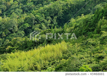 綠色背景,美麗的山景. 綠色背景,美麗的山景. 43468881