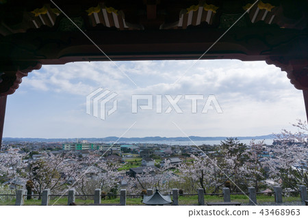 [千葉縣] Nako-ji Temple 43468963