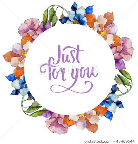 Watercolor colorful aquilegia flower. Floral botanical flower. Frame border ornament square. Watercolor colorful aquilegia flower. Floral botanical flower. Frame border ornament square. 43469544