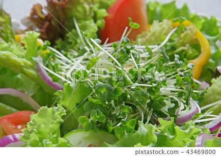 Broccoli Sprite Salad Vegetable Salad 43469800