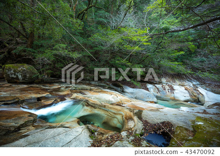 大分縣富士川谷 大分縣富士川谷 43470092