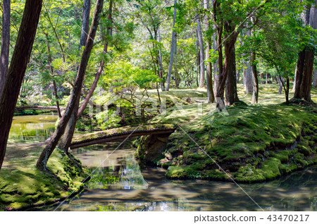 Kyoto Zen Temple 43470217