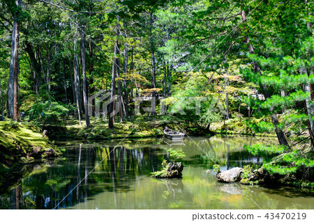 Kyoto Zen Temple 43470219