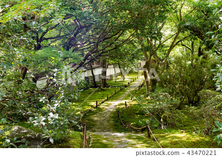 Kyoto Zen Temple 43470221