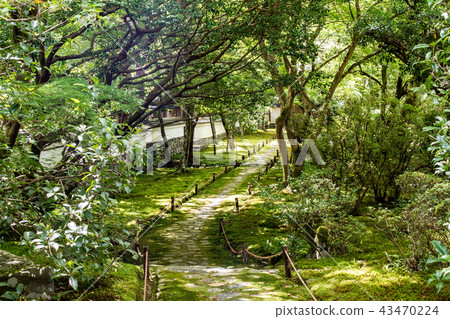 京都禪寺 43470224