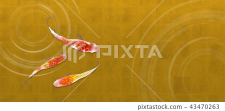 Luxury medaka Luxury medaka 43470263
