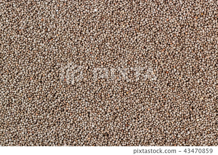 Perilla Perilla 43470859