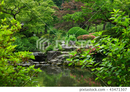 Young leaves and fresh green sweet spring garden stone lantern Young leaves and fresh green sweet spring garden stone lantern 43471307