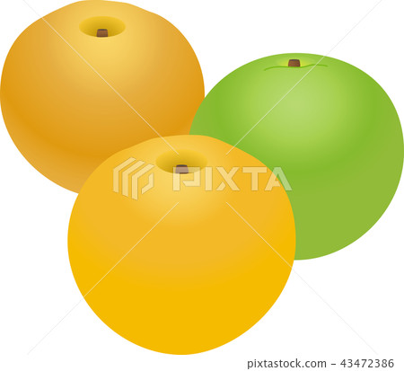pear pear 43472386
