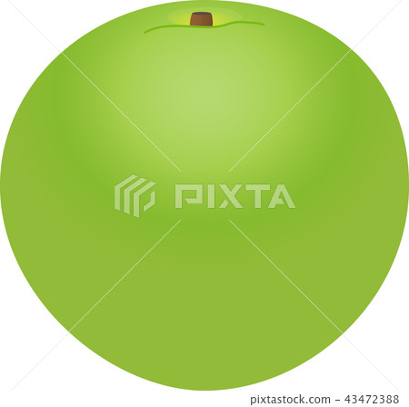 pear  43472388