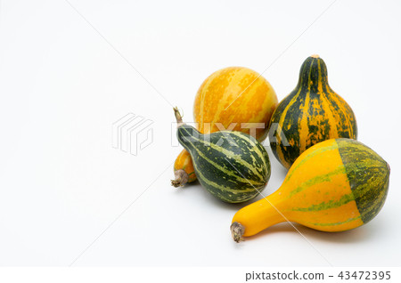 Four toy pumpkins white background a-1 bottom right Four toy pumpkins white background a-1 bottom right 43472395