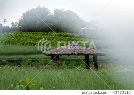 Blue Kochia Tree Park with Cabin Blue Kochia Tree Park with Cabin 43473113