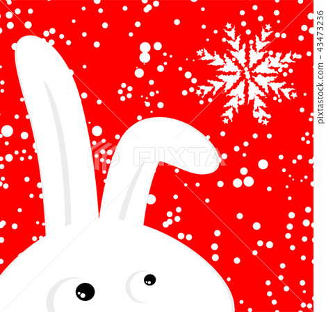 Funny rabbit on red christmas snowing background 43473236