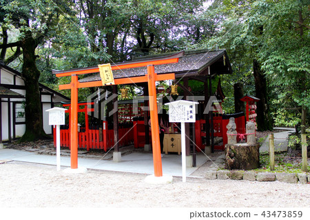[京都] Aioi株式會社Shimogamo Shrine 43473859