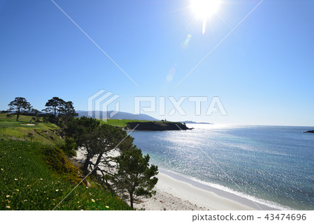 America Pebble Beach 43474696