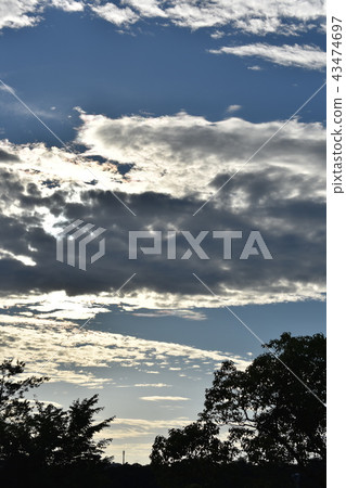 Sky  43474697